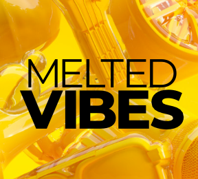 Native Instruments Play Series: Melted Vibes